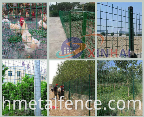 Holland Wire Mesh Fence